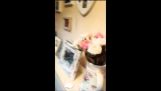 de beste video van een vreemdgaan meisje dumping die u ooit zult zien
