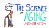 Die Wissenschaft hinter der Alterung