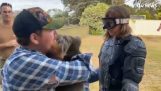 Bir gazeteci Avustralya'nın en tehlikeli ayısıyla tanışır