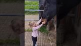 Un moment frumos între un copil și un cal