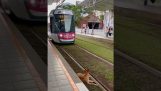 Een hond blokkeert de tram