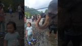 Освежающая ванна из слона