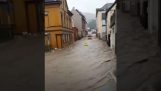 Folk redder en brandmand under oversvømmelsen (Tyskland)