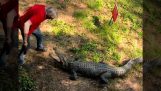 Australian atacat de un crocodil