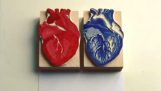 De tekening van een hart met twee afdichtingen