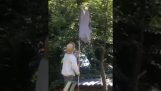 Entfernen eines Wespennests an einem Baum (Fail)