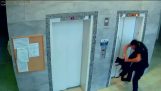 Een politieagent redt een hond wiens riem vast kwam te zitten in de lift