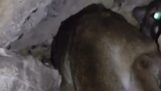Hiker hears a noise inside a cave