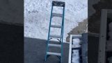 The ladder he wanted to kill itself