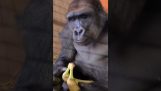 Bruksanvisning: hvordan spise en banan