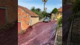 Una avalancha de vino tinto en Portugal
