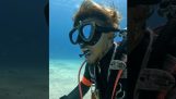 Fish cleans a diver's teeth