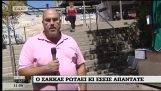 Panos Sakkas fare sondaggi per la ferita di Antetokounmpo