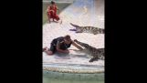 Крокодил гризе руку тренера (Tajland)