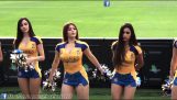 Cheerleaders of the Mexican team Tigres