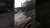 Überflutete Fluss trägt Autos (New-Jersey)