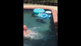 Chlapeček tlačí bratra v bazénu