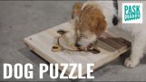 Dokonywanie puzzle psa