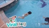 1 ani înot vechi copil în piscină