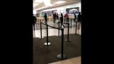 Apple bolt kirabolták Santa Rosa Plaza