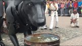 Аниматрониц пас пије воду