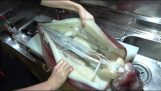 Preparation of a giant squid