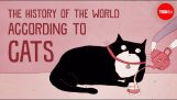 História sveta v súlade s mačkami