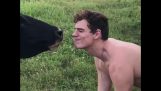 Man bekommt einen Kuss von einer Kuh