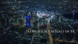 צילומי אוויר של טוקיו יוקוהמה צולם ב 8K