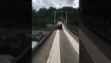 A Russian with a quad on a bridge … Qu'est-ce qui pourrait mal se passer?