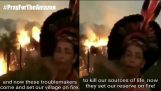Mulher indígena afirma que o fogo Amazon foi intencional
