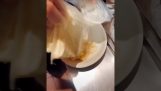 panera empleado es despedido después de mostrar cómo el restaurante hace macarrones con queso