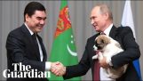 Vladimir Putin, köpek yavrusu kurtarmak istiyor