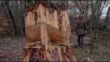 维京人是怎么砍大树?