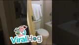 Toilet door fail in a hotel