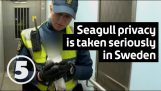 السويدية الشرطة تأخذ الخصوصية على محمل الجد