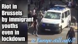 Riot in Brussels – Ungdomsindvandrere bryder en politibil 12/4/2020