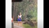 La donna voleva scattare una foto accanto a un orso selvatico