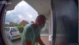 A dog bites the delivery man’s box