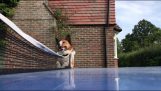Een hond scheidsrechters een pingpongwedstrijd