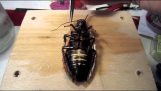 Как да създадете свой собствен хлебарка с дистанционно управление