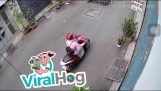 Vrouw op scooter probeert een plant te stelen