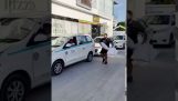 Kussengevechten met vreemden (Mexico)