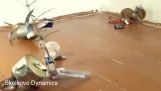 A Skolkovo Dynamics orosz robotjai