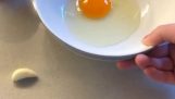 Adskil æggeblommen med en hvidløg