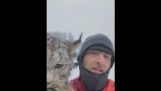 Lynx wordt betrapt na het doden van kippen