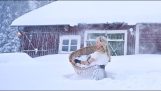 Hur tvättar nordbor sina kläder på vintern?