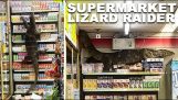 A monitor lizard in a store