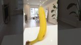 In eine Banane verwandeln