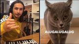 Алугалска котка 2.0
